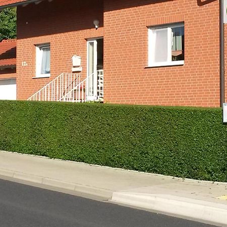 Apartment Mit Blick Auf Herkules Mit Parkplatz Κάσελ Εξωτερικό φωτογραφία