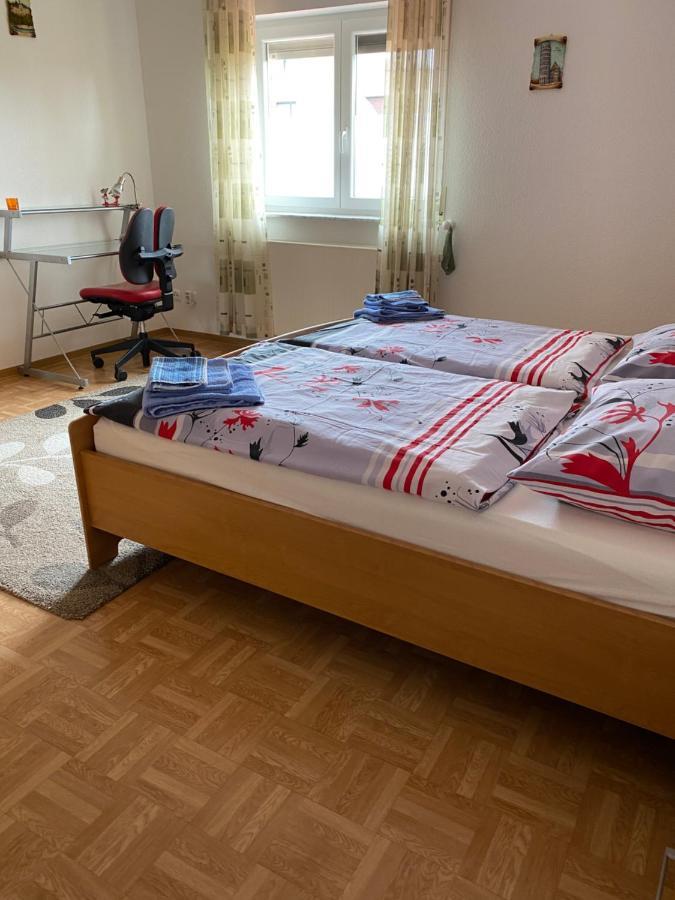 Apartment Mit Blick Auf Herkules Mit Parkplatz Κάσελ Εξωτερικό φωτογραφία
