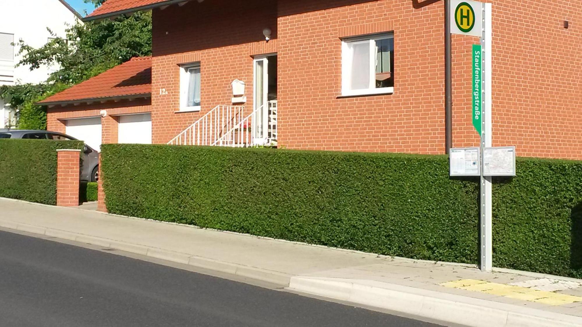 Apartment Mit Blick Auf Herkules Mit Parkplatz Κάσελ Εξωτερικό φωτογραφία